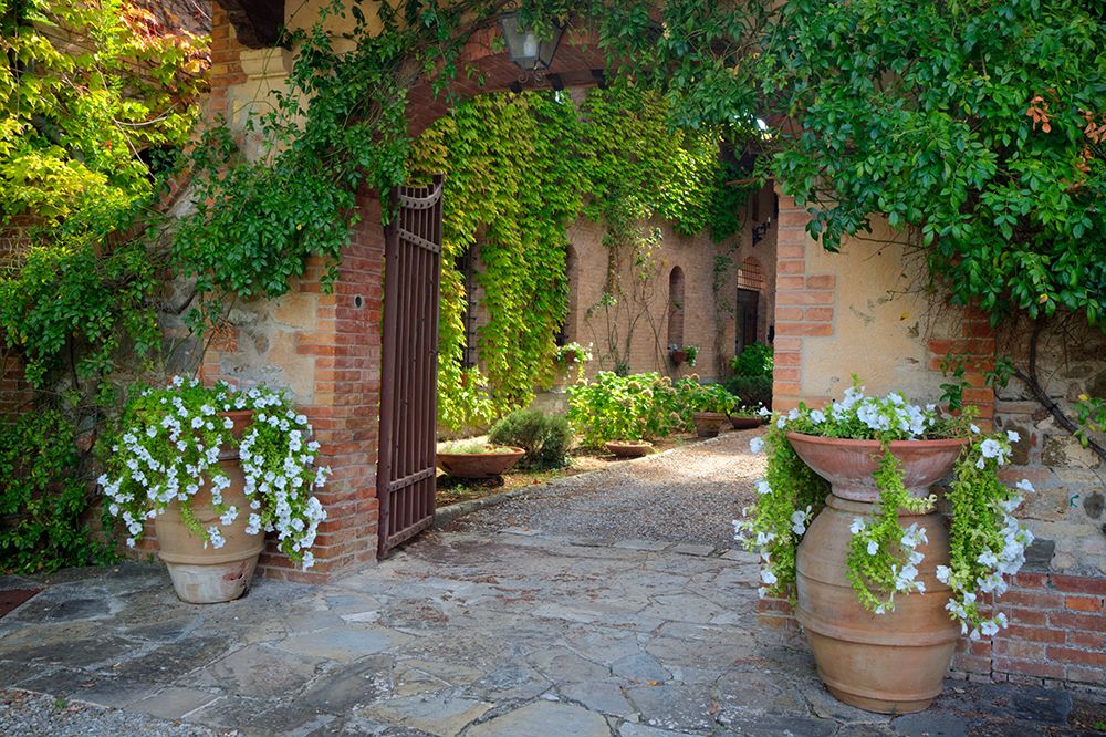 Italy-Tuscany Courtyard of an agriturismo near the hill town of Montalcino art print by Julie Eggers for $57.95 CAD